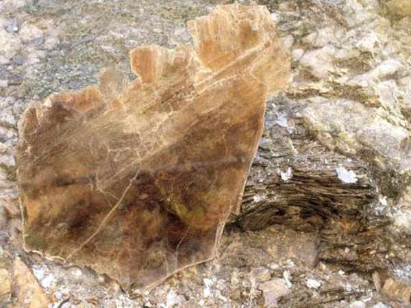 云母含鐵愈高時(shí)，顏色愈深，同時(shí)多色性和吸收性增強(qiáng)